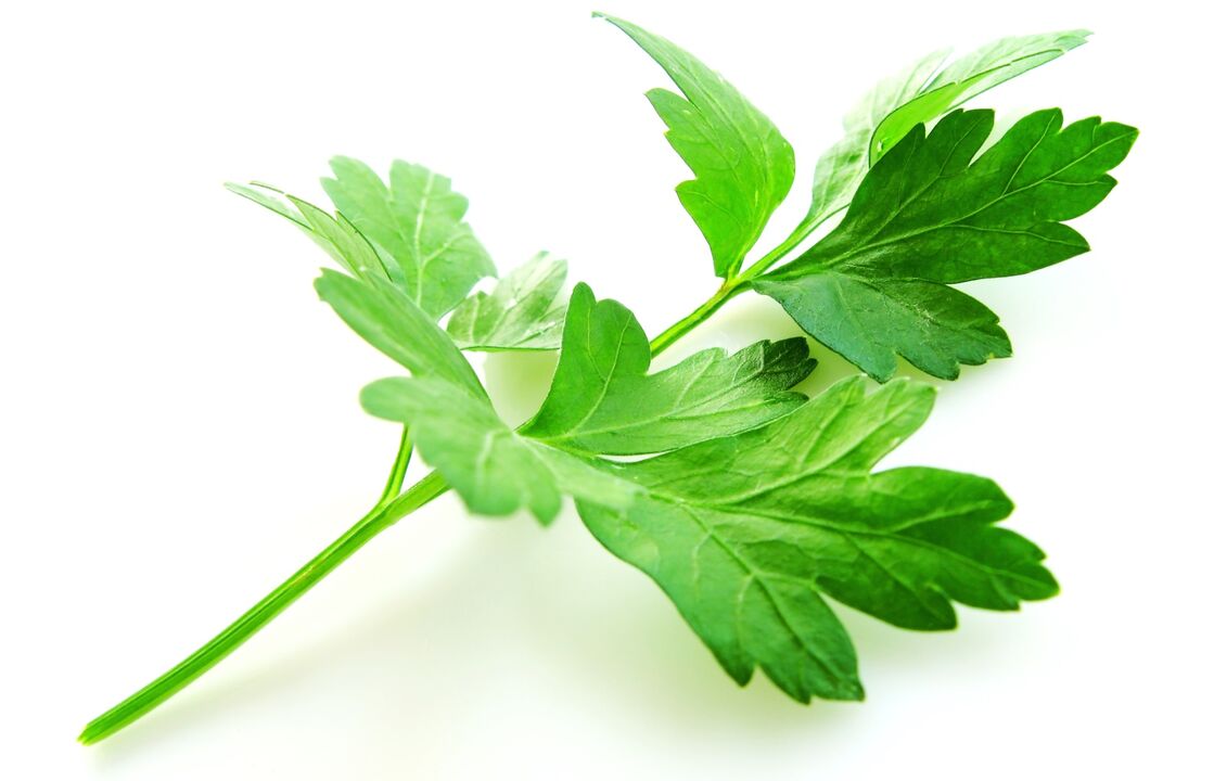 salsa para o tratamento da cistite